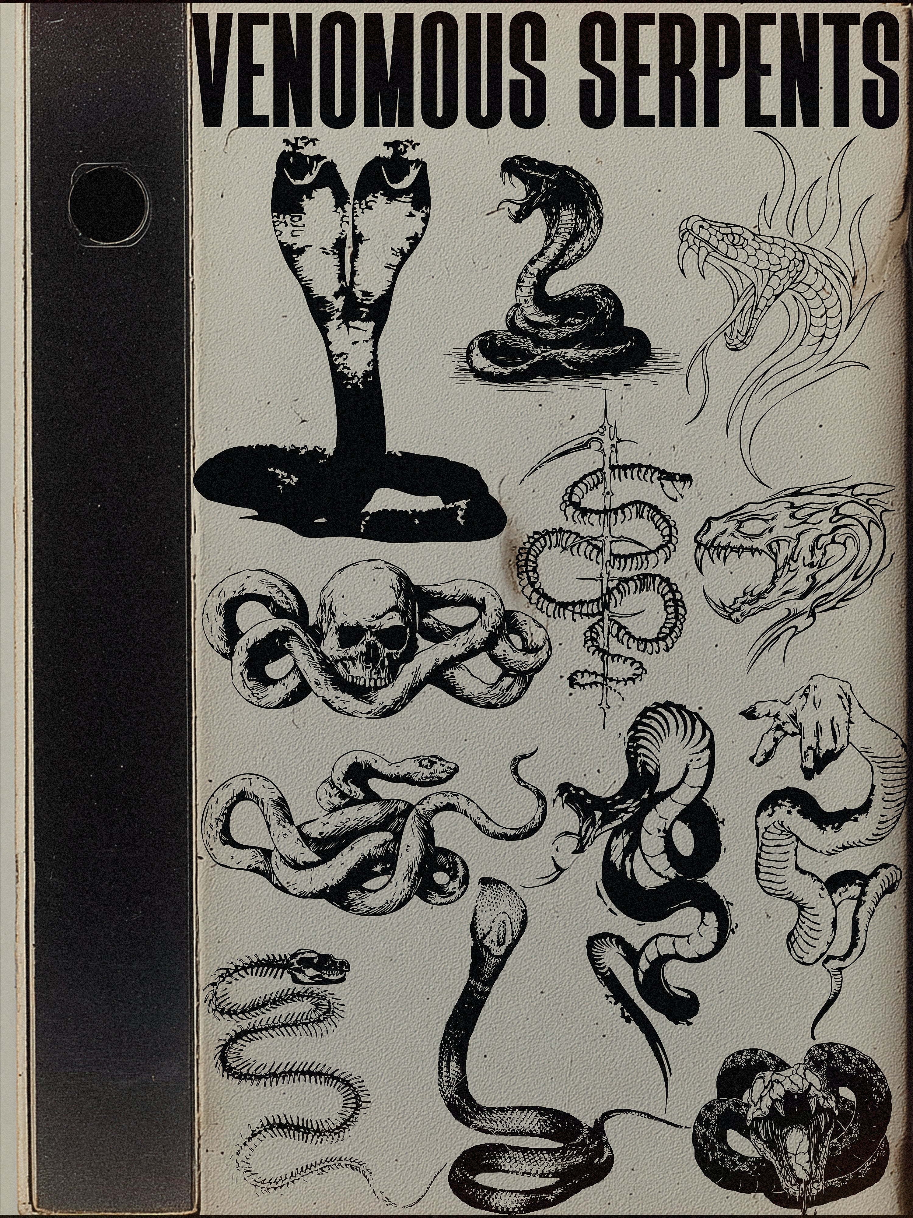 Venomous Serpents Vector Pack