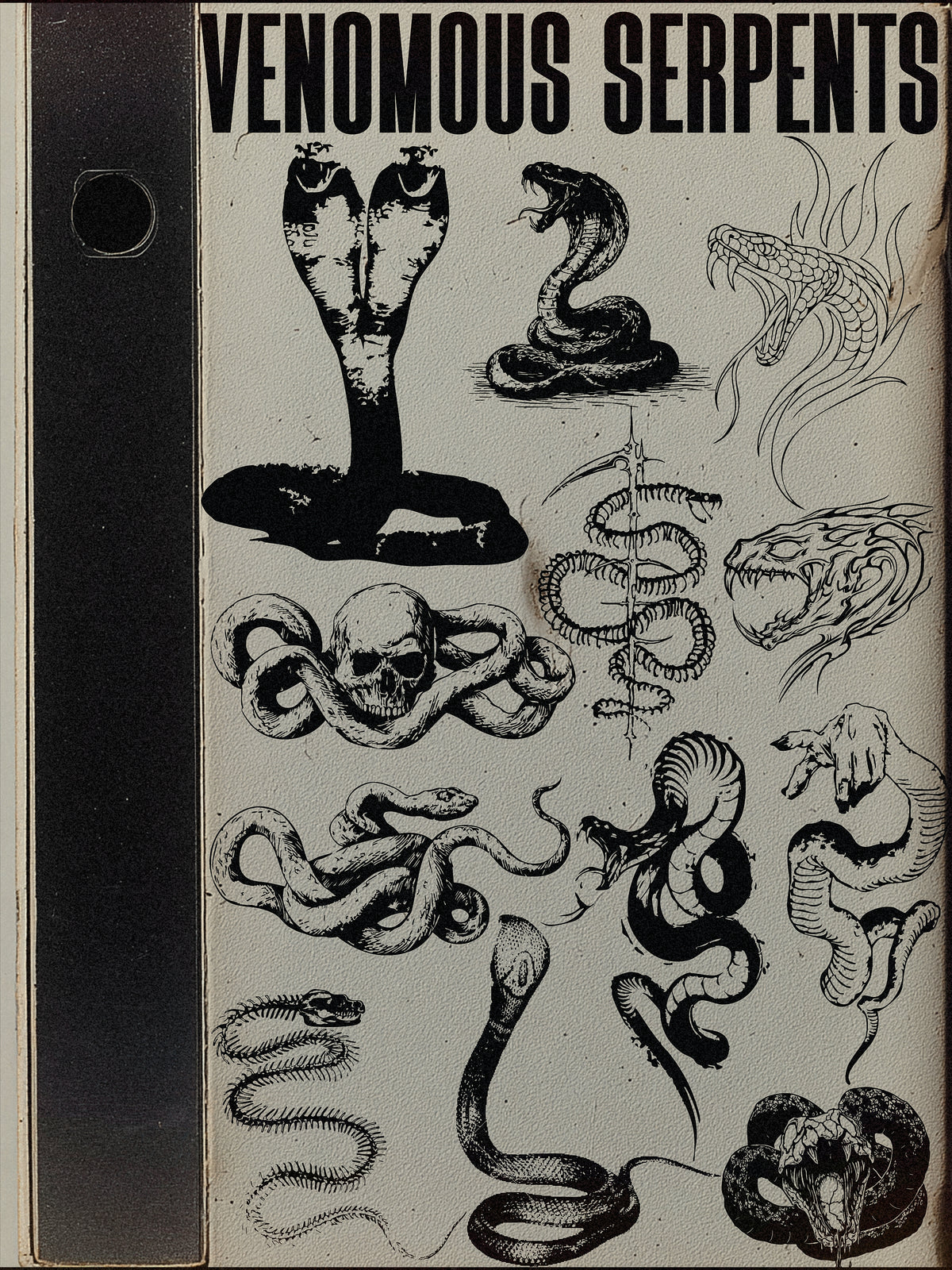 Venomous Serpents Vector Pack