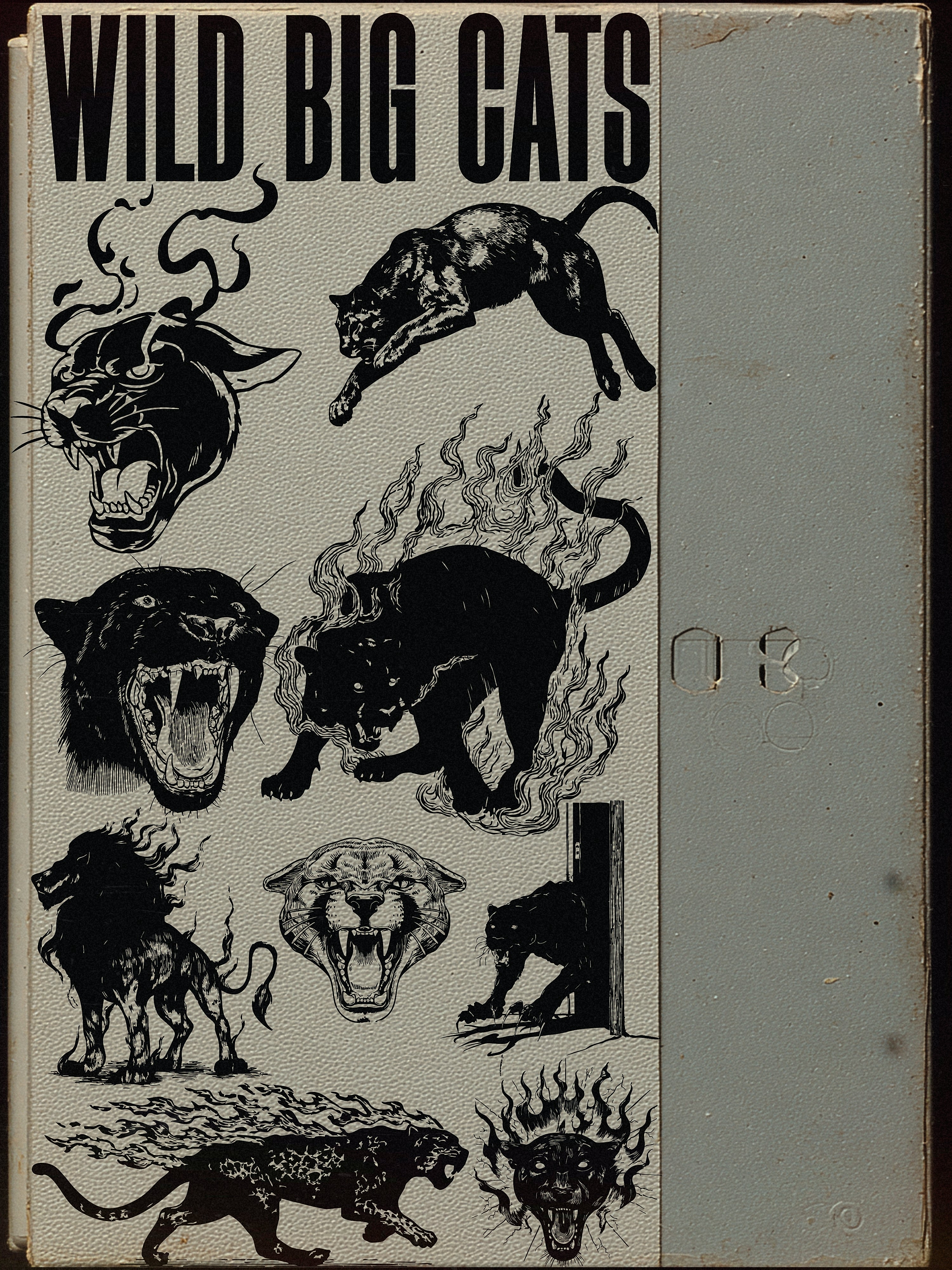 Wild Cats Vector Pack