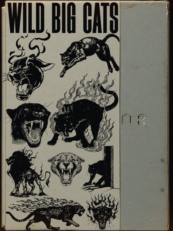 Wild Cats Vector Pack