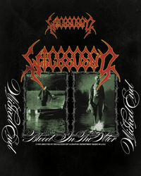 Blood in the Water